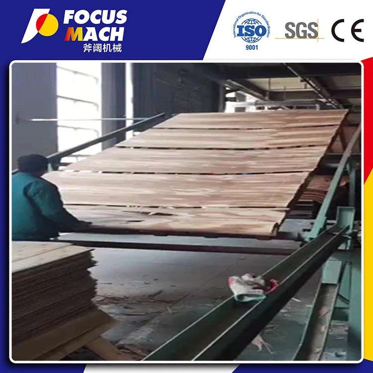 ECONOMY VENEER DRYING MACHINE (3)